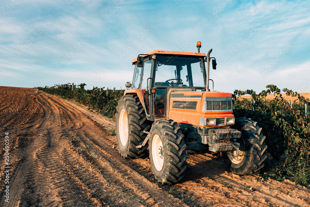 Fototapeta premium Tractor in a vineyard