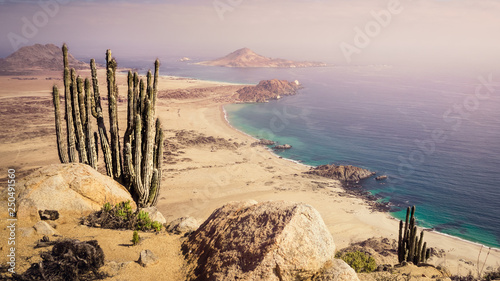 Coast of Pan de Azucar National Park in Chile. Atacama desert coast and cactus photo