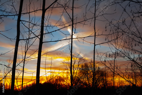 Silhouettes of a leafless tree branches on colorful sunset and cloudy blue sky with plane trail as a backgrond. Autumn in Finland.