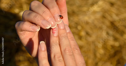 Red ladybug on the hands of the girl.
