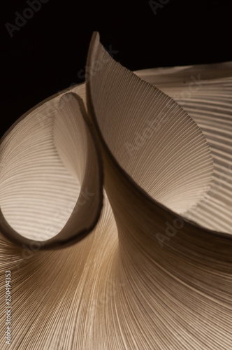 paper lamp, light, shadow, pattern