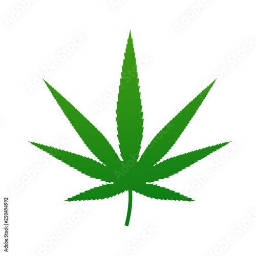 Weed Leaf Icon Vector