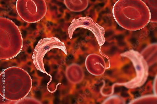 Obraz na plátně Trypanosoma brucei parasites, 3D illustration