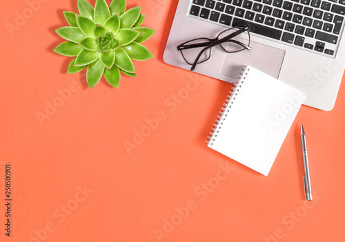 Office workplace flat lay notebook green succulent coral background