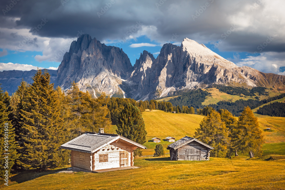 Alpe di Siusi - Seiser Alm with Sassolungo - Langkofel mountain group in background at sunset. Flowers and wooden chalets in Dolomites, Trentino Alto Adige, South Tyrol, Italy, Europe