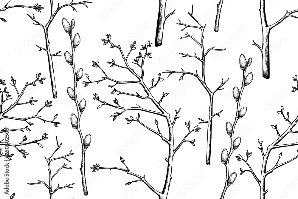Seamless vintage pattern with ink hand drawn willow tree twigs. Vector natural background. Easter illustration