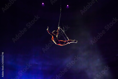 air circus performances in the circus photo