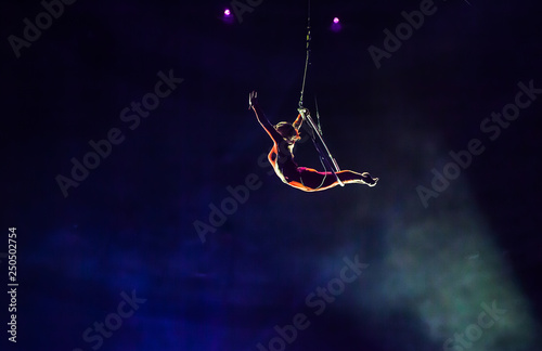 air circus performances in the circus photo