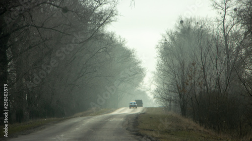 Morning country road in early spring with a haze on the horizon