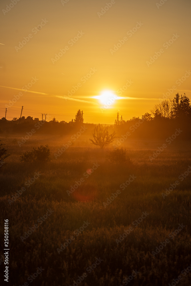 colorful sunrise sunset in misty summer meadow colorful sunrise sunset in misty summer meadow