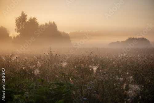 colorful sunrise sunset in misty summer meadow