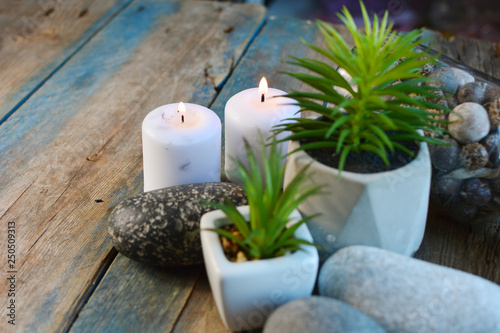 Home decor and plants. Succulents  candles decor on a wooden table.