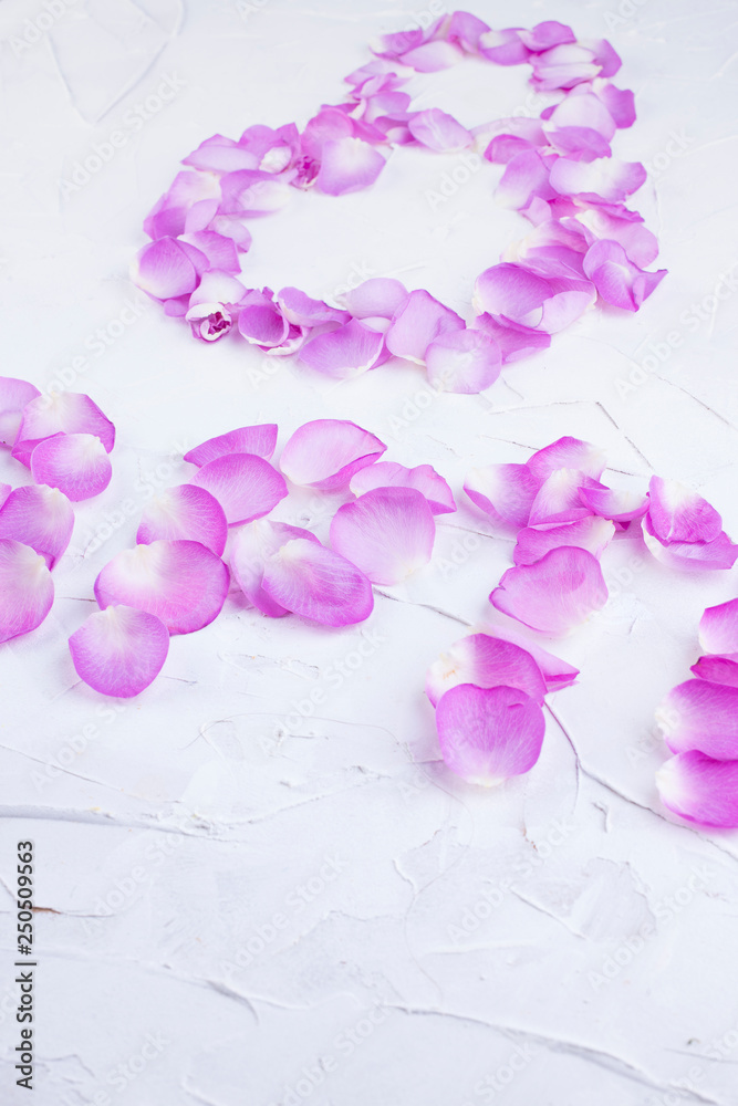 Fototapeta premium Figure 8 and Russian letters from rose petals on a white background. Roses in the women's holiday. Photo or postcard in the concept of a romantic gift. Free place for text. Isolated image march 8.