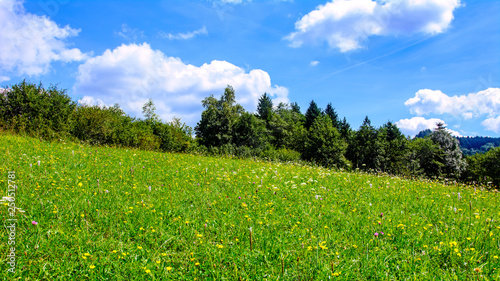 Idyllic mountain landscape - flowering meadow on a sunny day on a background of blue sky and clouds