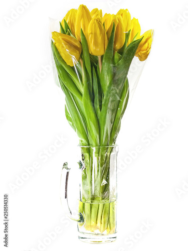 Yellow tulips in vase isolated