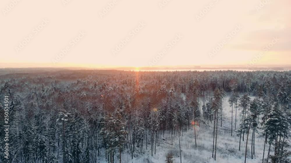 Aerial photo of a winter forest. flying over the snowy forests of the sun sets orange over the white trees. Frosty morning. Winter landscape Aerial photo of a winter forest. flying over the snowy forests of the sun sets orange over the white trees. Frosty morning. Winter landscape