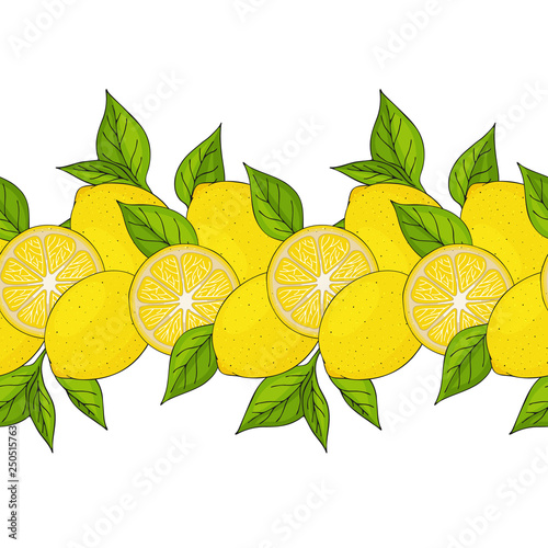 seamless border. yellow lemons and leaves. endless ornament. hand drawn. horisontal. vector illustration.