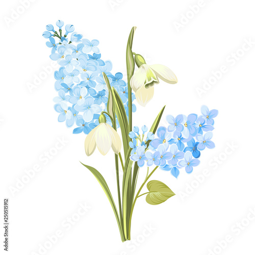 Purple Lilac flowers of syringa and white galanthus. Botanical illustration for spring bouquet. Spring time concept card with blooming flowers isolated over white background. Vector illustration.