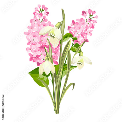 Purple Lilac flowers of syringa and white galanthus. Botanical illustration for spring bouquet. Spring time concept card with blooming flowers isolated over white background. Vector illustration.
