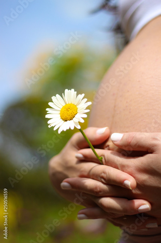 flor margarida na barriga da grávida