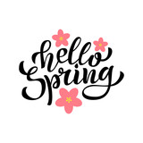 Hello Spring hand Lettering. Vector.