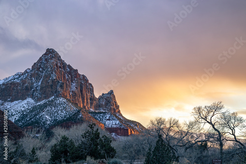 Bild auf Leinwand Winter at Zion National Park during sunset