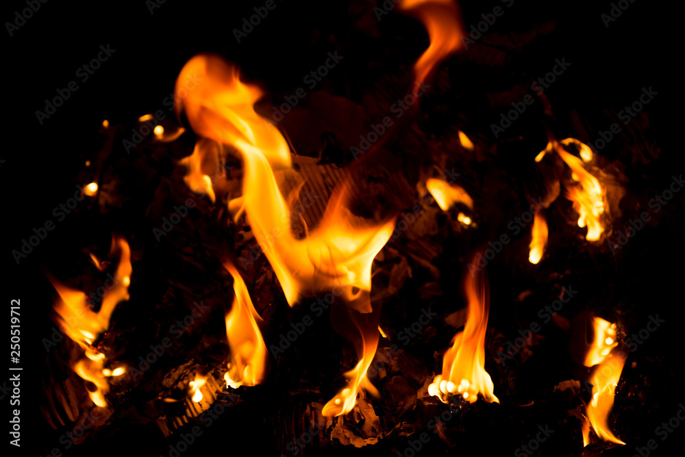 Fototapeta premium fire flame on black background