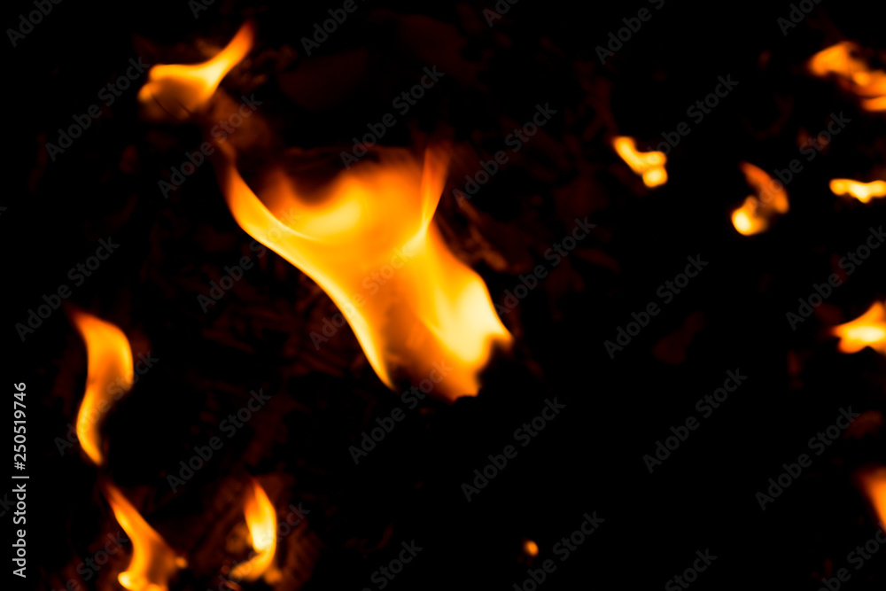 Fototapeta premium fire flame on black background
