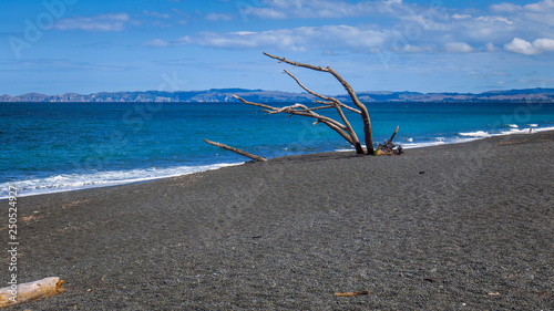 Exploring Napier in New-Zealand photo
