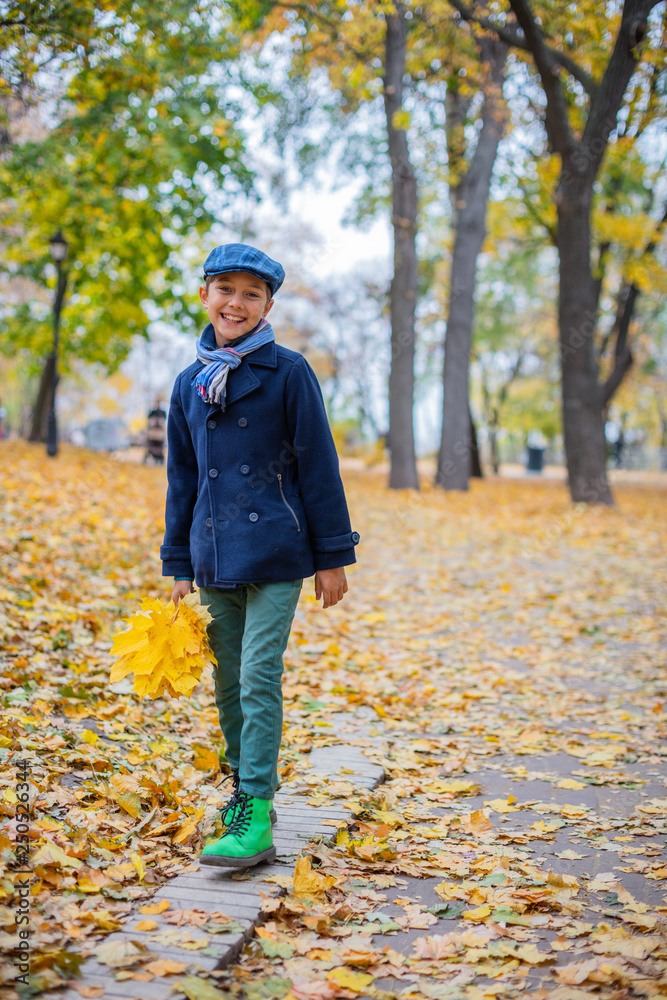 Beautiful child boy in the autumn nature