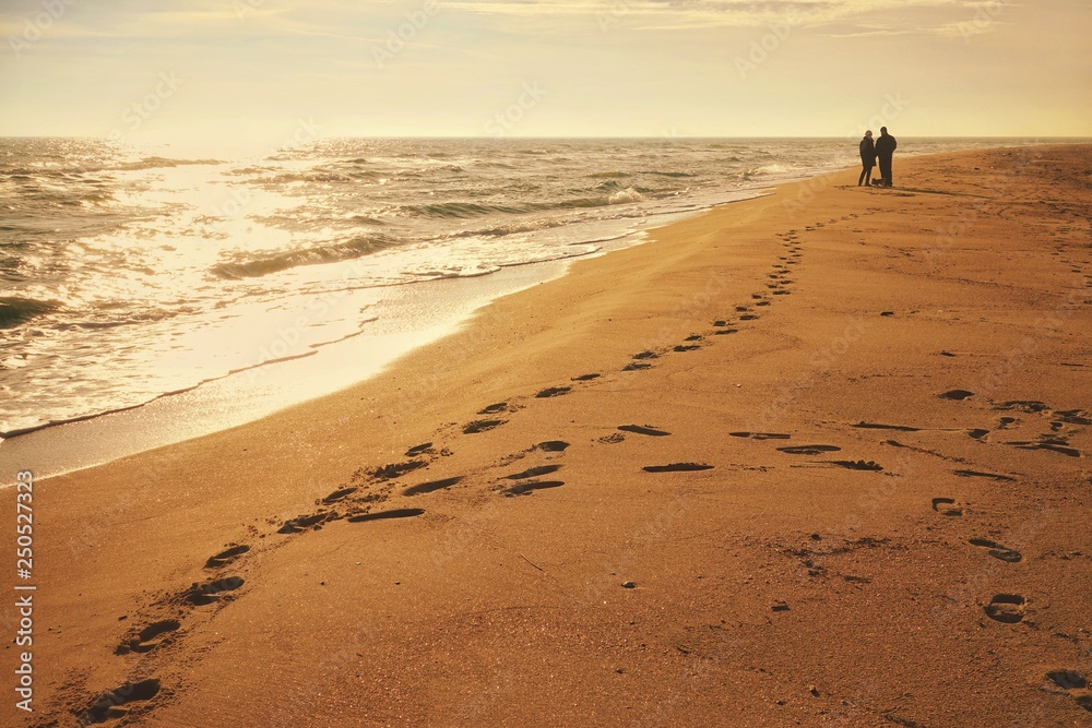 Traces on sand.