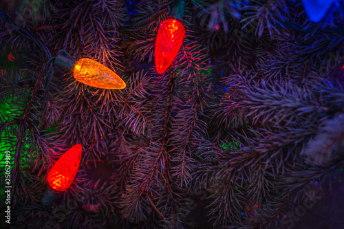 outdoor christmas lights