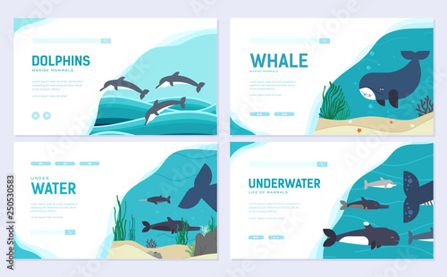 Set of Sea mammals. Art animal brochure card set. fish in ocean life template of flyear, web banner, ui header, enter site. Layout invintation modern slider