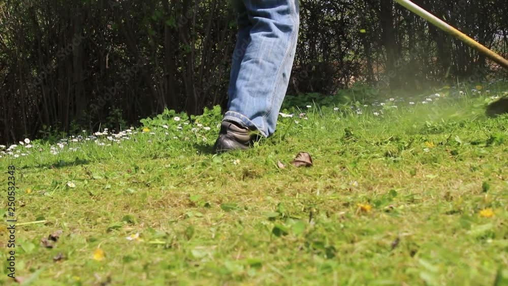 Man  mows green wild grass with brush cutter, hd video