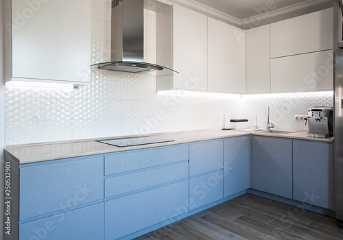 Blue and white cabinets in modern kitchen interior