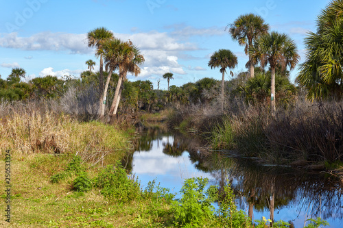 Scenic waterway located adjacent to a roadside park in Brevard County, Florida