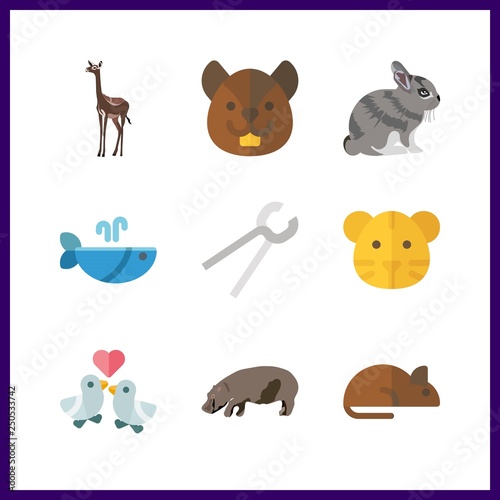 Fototapeta Naklejka Na Ścianę i Meble -  9 wildlife icon. Vector illustration wildlife set. rat and pincers icons for wildlife works