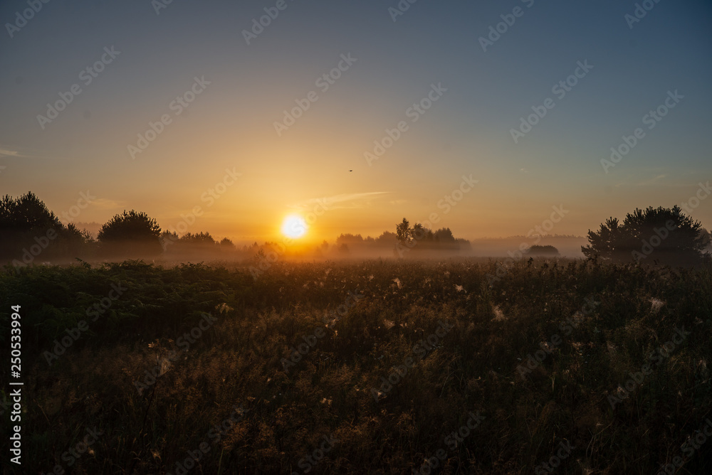 colorful sunrise sunset in misty summer meadow colorful sunrise sunset in misty summer meadow