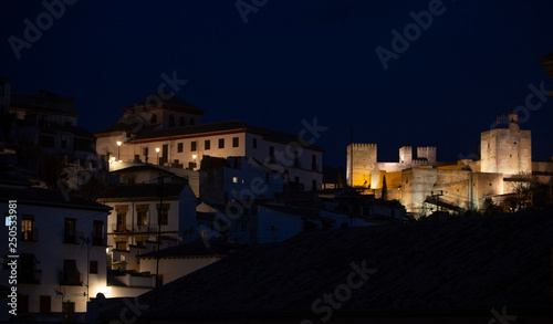 Vista del albaic  n y la Alhambra de Granada