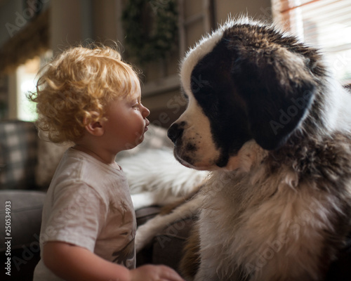 Side view of boy looking at saint Bernard at home