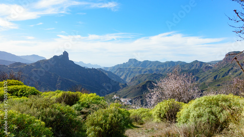Spring time in the mountains of Canary Islands, Spain