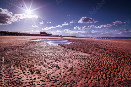 Fotografie Tidemarks in the Sand