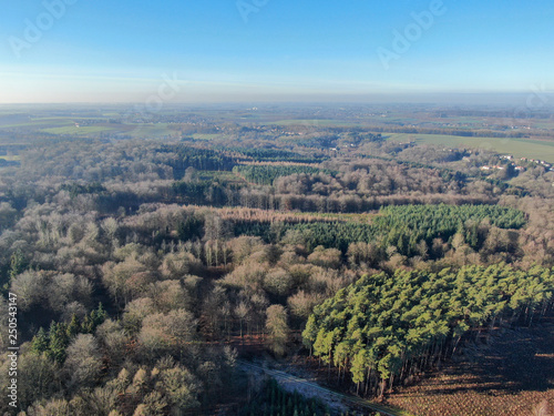 Aerial view of countryside landscape with forests and farmlands during beautiful winter day in the morning. Belgium  Walloon Brabant