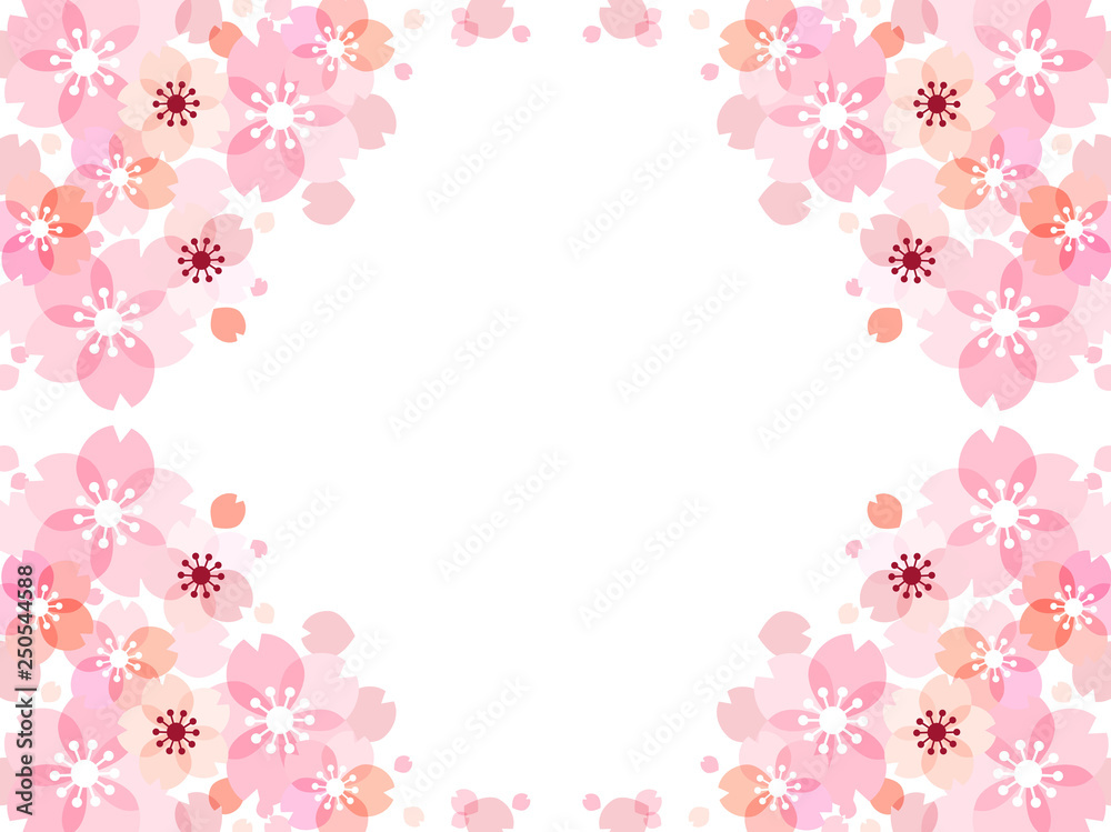 桜の花のイラストの背景素材