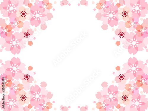 桜の花のイラストの背景素材