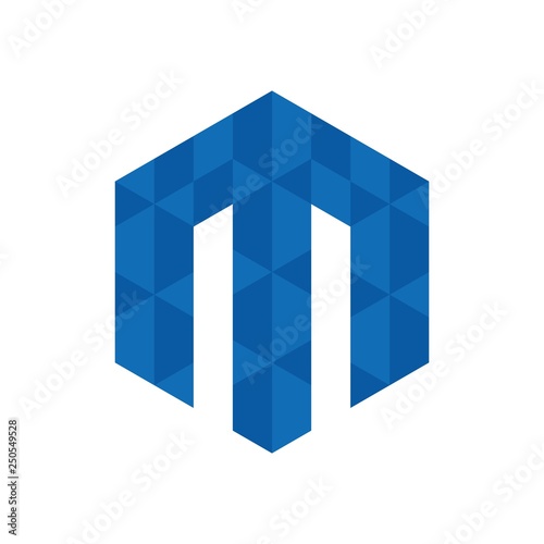 hexagon vector logo