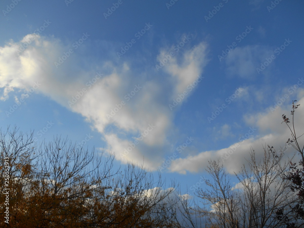 Floating Clouds Floating Clouds