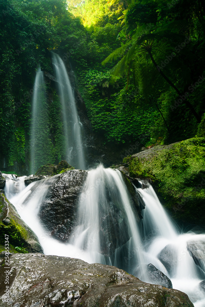 Obraz premium Rocks water and moss