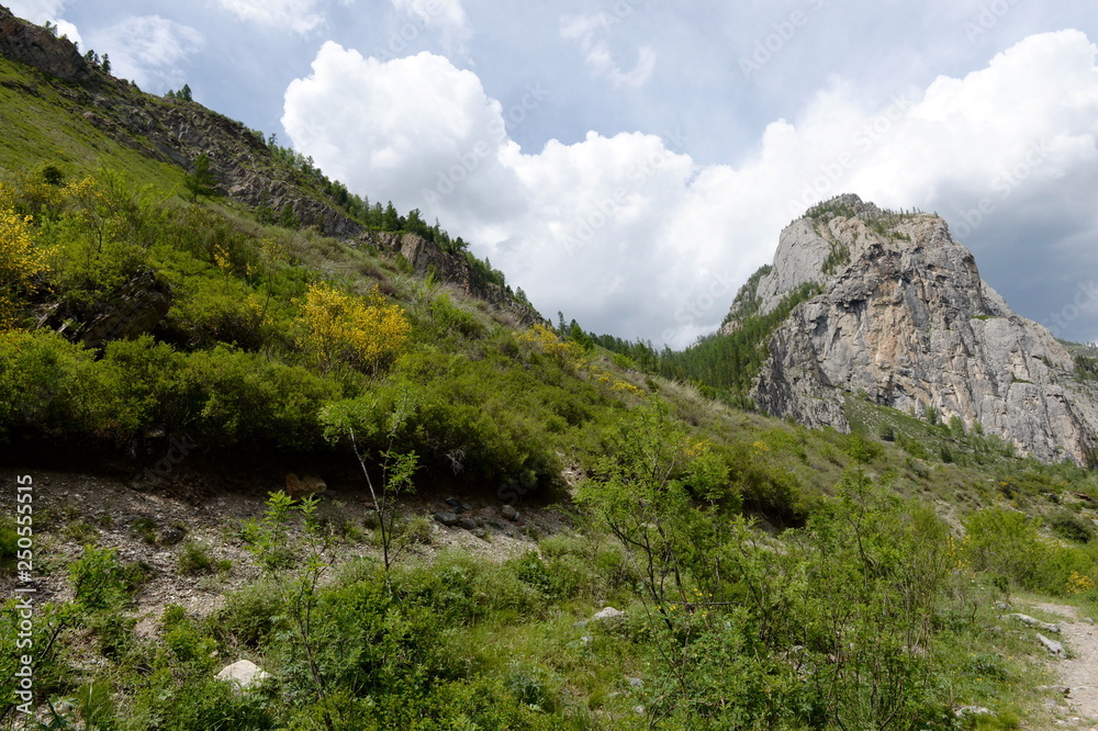 Mountain landscape by the river Chuya, Altai Republic, Siberia, Russia Mountain landscape by the river Chuya, Altai Republic, Siberia, Russia