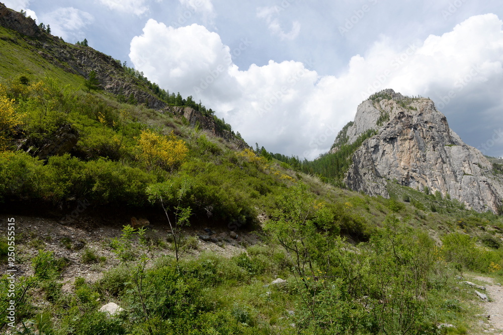 Mountain landscape by the river Chuya, Altai Republic, Siberia, Russia